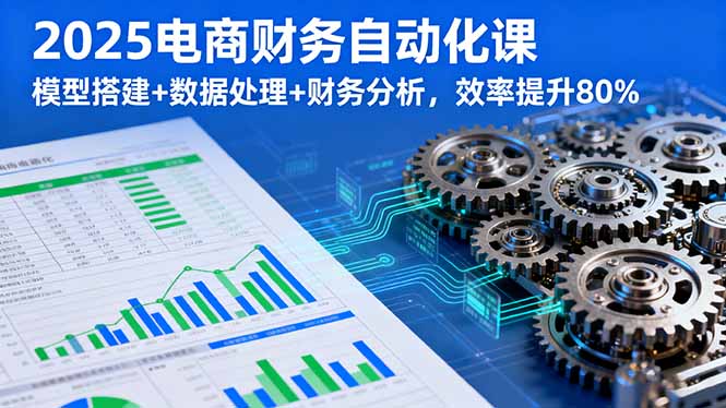 2025电商财务自动化课，模型搭建+数据处理+财务分析，效率提升80%-我爱发帖