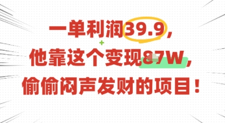 一单利润39.9，有人靠这个变现几十个，偷偷闷声发财的项目-我爱发帖