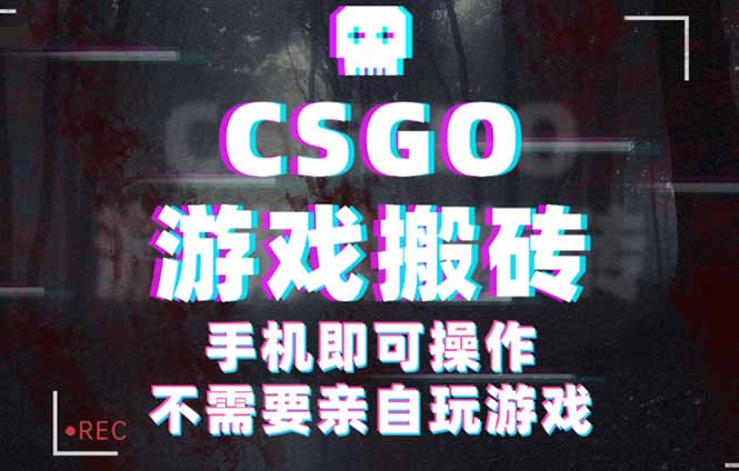 CSGO游戏挂机捡漏，单日扫货500+，年底小高峰上车可吃肉，手机即可操作…-我爱发帖
