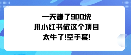 一天挣了9张用小红书做这个项目太牛了，空手套-我爱发帖