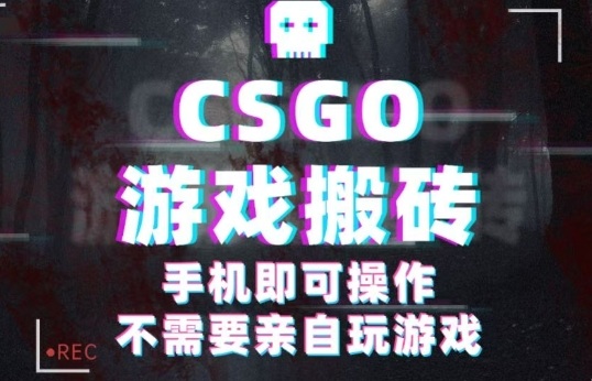 CSGO游戏挂G捡漏，单日扫货5张+，年底小高峰上车可吃肉，手机即可操作，兼职副业创业网创【揭秘】-我爱发帖