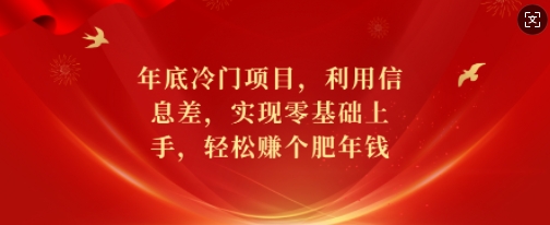 年底冷门项目，利用信息差，实现零基础上手，轻松赚个肥年钱【揭秘】-我爱发帖