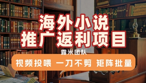 海外小说推广返利项目，视频投喂， 一刀不剪，矩阵批量-我爱发帖