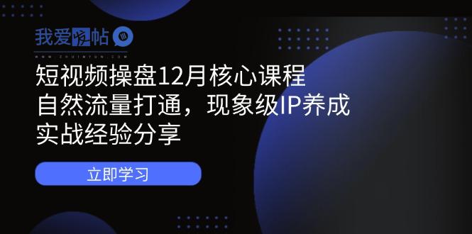 短视频操盘12月核心课程：自然流量打通，现象级IP养成，实战经验分享-我爱发帖