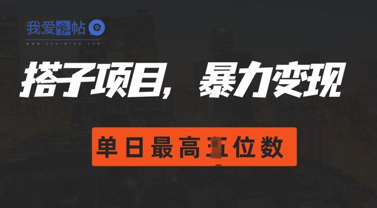2024搭子玩法，0门槛，暴力变现，单日最高破四位数【揭秘】-我爱发帖