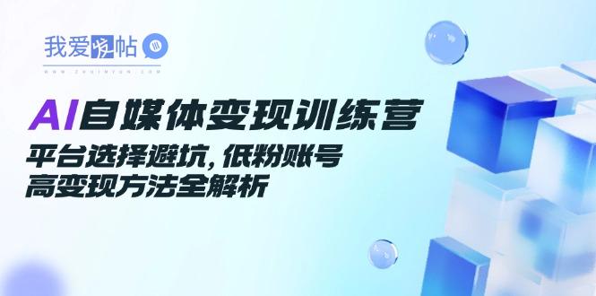AI自媒体变现训练营，平台选择避坑，低粉账号高变现方法全解析-我爱发帖