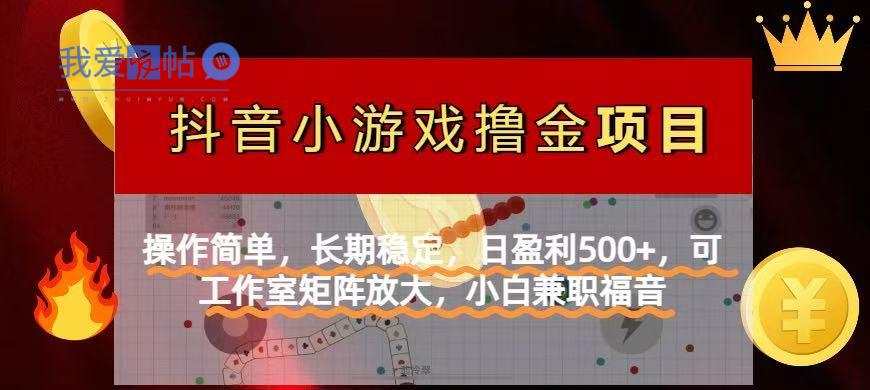 【抖音小游戏发行人计划项目】操作简单，长期稳定，日盈利500+，可工作…-我爱发帖