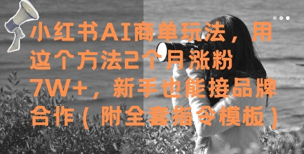 小红书AI商单玩法，用这个方法2个月涨粉7W+，新手也能接品牌合作(附全套指令模板)-我爱发帖