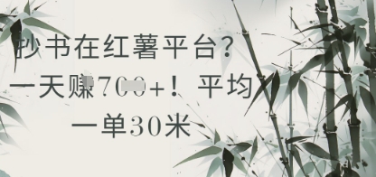 抄书在小红薯平台？平均一单30米，一天收益几张！-我爱发帖
