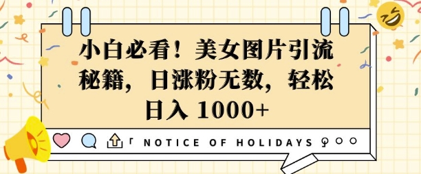 小白必看，美女图片引流秘籍，日涨粉无数，轻松日入几张【揭秘】-我爱发帖
