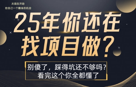 25年，你还在疯狂的找项目吗？别傻了，看完这个你都懂了【揭秘】-我爱发帖