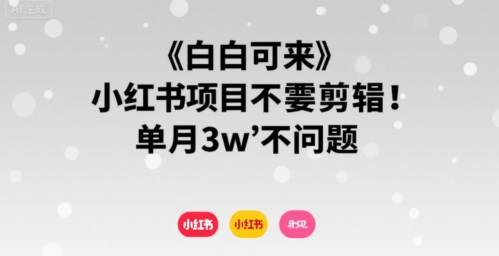 小白可来 小红书项目不需要剪辑 单月3w不是问题-我爱发帖