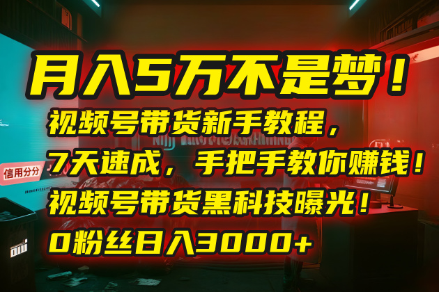 月入5万不是梦！视频号带货新手教程，7天速成，手把手教你赚钱！视频号…-我爱发帖