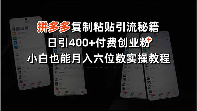 拼多多复制粘贴引流秘籍，日引400+付费创业粉，小白也能月入六位数实操…-我爱发帖