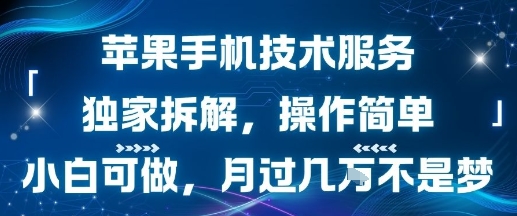 苹果手机技术服务，独家拆解，操作简单，小白可做，月过1W不是梦-我爱发帖