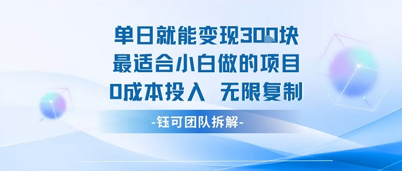 单日就能变现3张最适合小白做的项目0成本投入 无限复制-我爱发帖