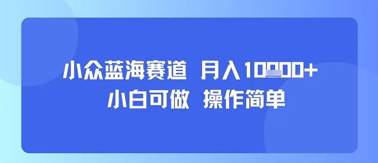 小众蓝海赛道，小白可做，操作简单，每天30分钟，月入1W+-我爱发帖