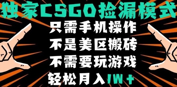 CSGO自动捡漏项目，最新独家玩法，不是美区搬砖，不需要了解和玩游戏，新手小白轻松月入1W+【揭秘】-我爱发帖