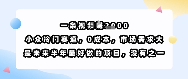 一条视频挣1k，小众冷门赛道，0成本，市场需求大，是未来半年最好做的项目，没有之一-我爱发帖