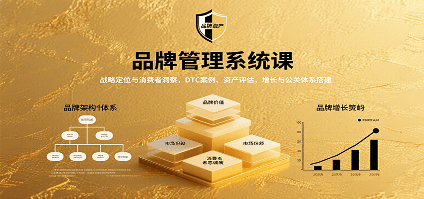 品牌管理系统课：战略定位与消费者洞察，DTC案例、资产评估，增长与公关体系搭建-我爱发帖