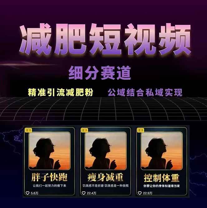 图片[2]-减肥短视频运营实战课：含素材制作、剪映教学，讲精准引流、变现设计与内容模板技巧-我爱发帖