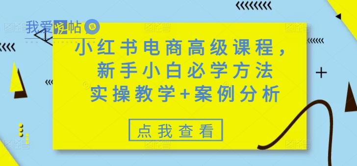 小红书电商高级课程，新手小白必学方法，实操教学+案例分析-我爱发帖