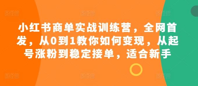 小红书商单实战训练营，全网首发，从0到1教你如何变现，从起号涨粉到稳定接单，适合新手-我爱发帖