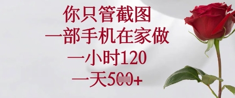 你只管截图，一部手机在家做，苹果安卓都可以，一小时120，一天5张+【揭秘】-我爱发帖