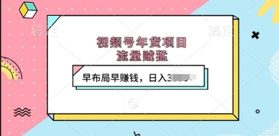 视频号年货项目，流量贼猛，早布局早挣钱，日入上k【揭秘】-我爱发帖