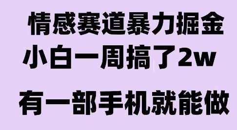 情感暴力掘金项目，新人操作一周挣了2W，长期稳定小白可做【揭秘】-我爱发帖