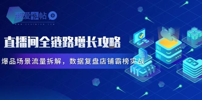 直播间全链路增长攻略，爆品场景流量拆解，数据复盘店铺霸榜实战-我爱发帖