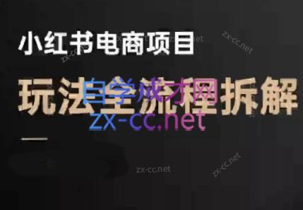 菲菲老师·小红书电商玩法(更新7月)-我爱发帖