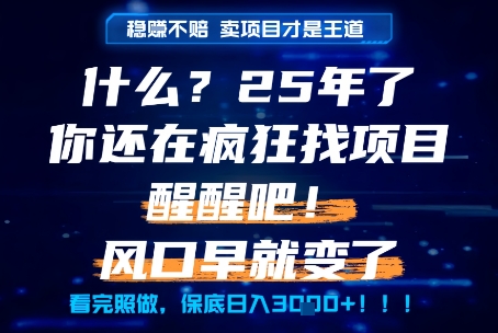 什么？25年你还在疯狂找项目做，醒醒吧，看完这些你全都懂了！【揭秘】-我爱发帖