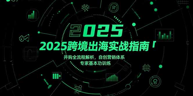 2025跨境出海实战指南，并购全流程解析，自创营销体系，专家基本功训练-我爱发帖