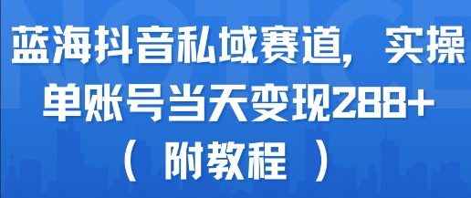 蓝海抖音私域赛道，实操单账号当天变现288+(附教程)-我爱发帖