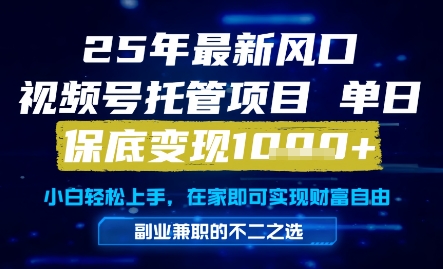 25年最新风口，视频号托管项目，单日保底变现1k+，手把手教学【揭秘】-我爱发帖
