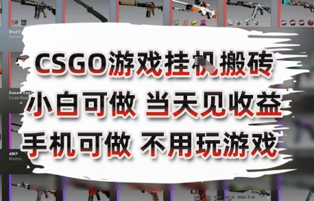 CSGO游戏挂G搬砖，小白纯手机即可操作，不用电脑打游戏，日入3张+，副业网创项目【揭秘】-我爱发帖