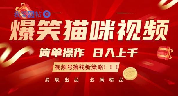 爆笑猫咪视频：简单操作，日入过K，视频号搞钱新策略【揭秘】-我爱发帖