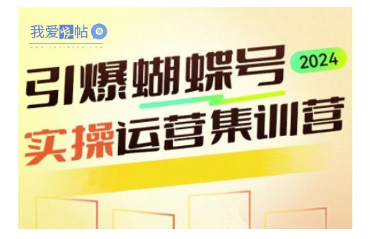 引爆蝴蝶号实操运营，助力你深度掌握蝴蝶号运营，实现高效实操，开启流量变现之路-我爱发帖