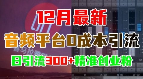 12月最新：音频平台0成本引流，日引流300+精准创业粉-我爱发帖
