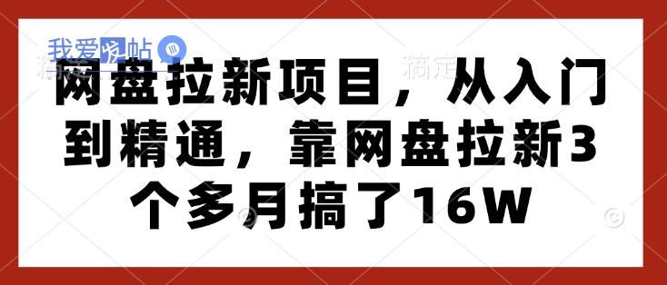 网盘拉新项目，从入门到精通，靠网盘拉新3个多月搞了16W-我爱发帖