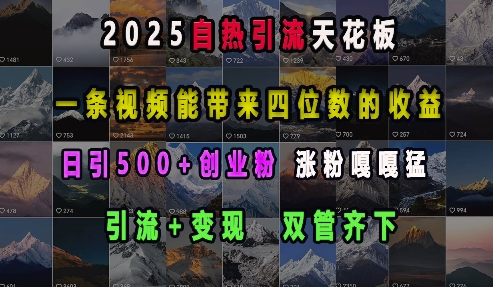 2025自热引流天花板，一条视频能带来四位数的收益，引流+变现双管齐下，日引500+创业粉，涨粉嘎嘎猛-我爱发帖