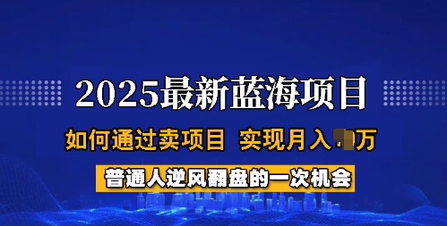2025蓝海项目，普通人如何通过卖项目，实现月入过W，全过程【揭秘】-我爱发帖