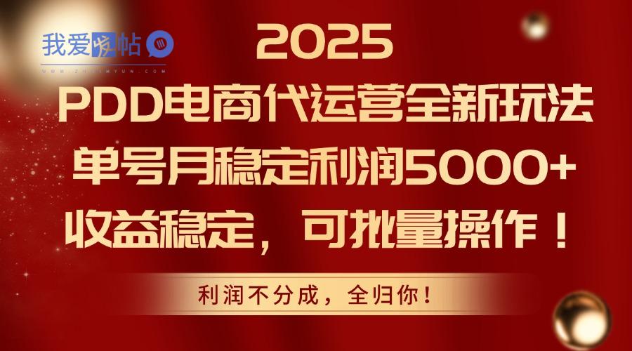 2025PDD电商代运营全新玩法，单号月稳定利润5000+，收益稳定，可批量操作-我爱发帖