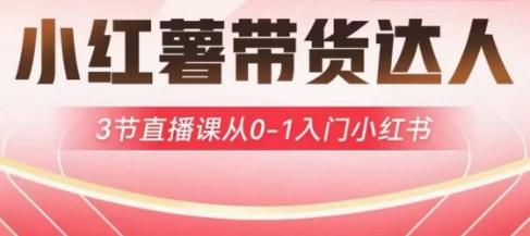 小红薯达人带货启航计划，3节直播课从0-1入门小红书-我爱发帖