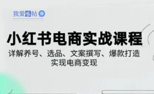 小红书从0-1实操课(2023-2025)，详解养号、选品、文案撰写、爆款打造实现电商变现-我爱发帖
