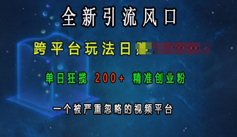全新引流风口，跨平台玩法日入上k，单日狂揽200+精准创业粉，一个被严重忽略的视频平台-我爱发帖