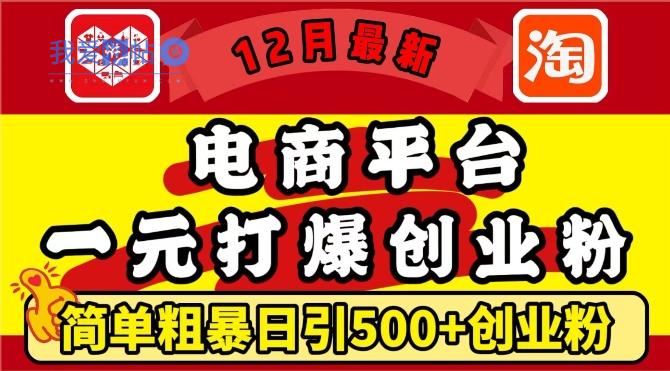 12月最新：电商平台1元打爆创业粉，简单粗暴日引500+精准创业粉，轻松月入过W【揭秘】-我爱发帖