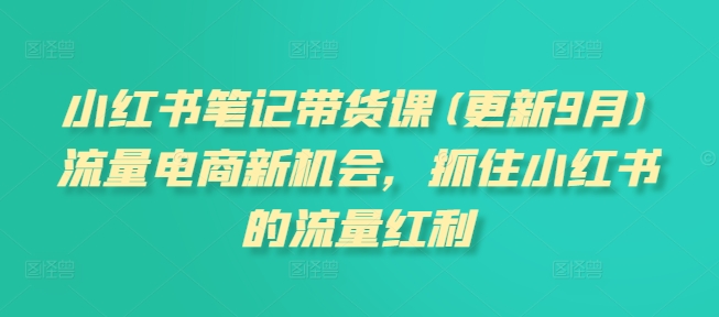 小红书笔记带货课(更新25年1月)流量电商新机会，抓住小红书的流量红利-我爱发帖