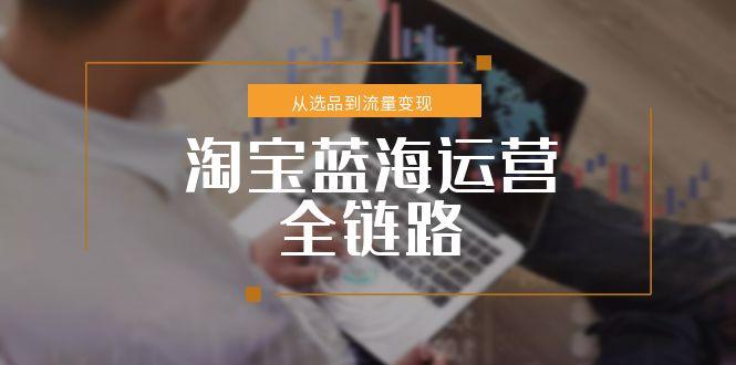 淘宝蓝海运营全链路，从选品到流量变现，小类目突围完整方案-我爱发帖